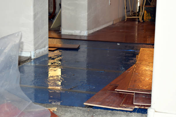 Professional Basement Flood Cleanup technician working in Guysville, OH